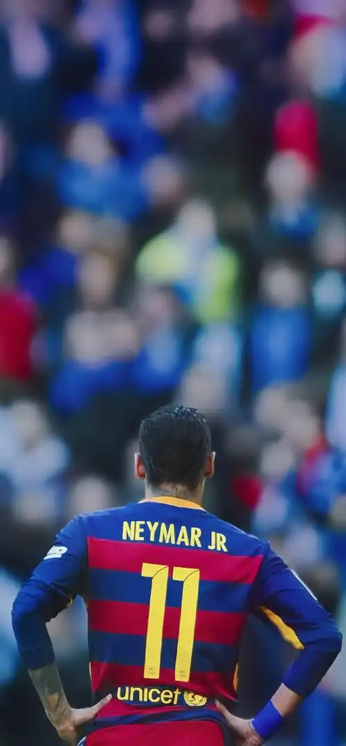 这一决策的 这一决策的