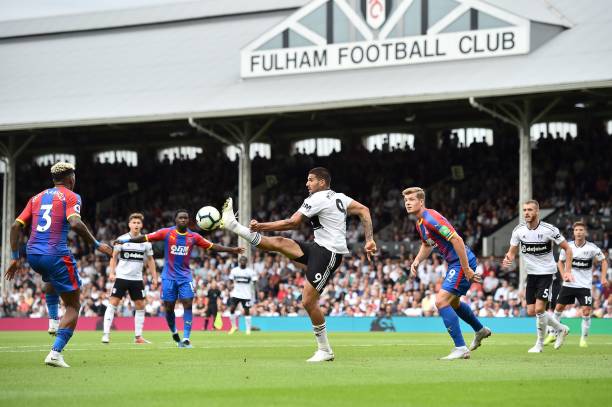 的实际影响 的实际影响