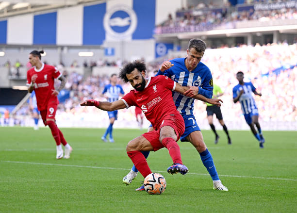 这位女士的 这位女士的